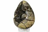 Septarian Dragon Egg Geode - Black Crystals #145255-1